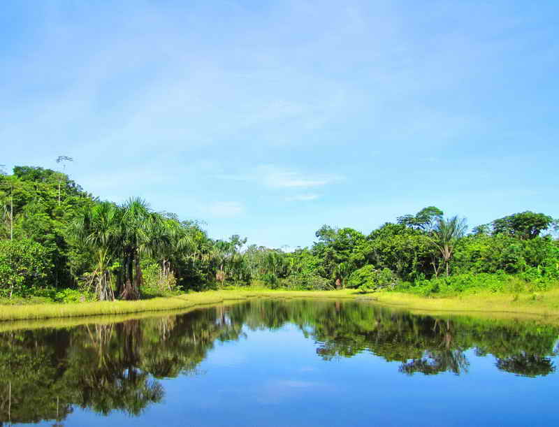 Amazon lagoon