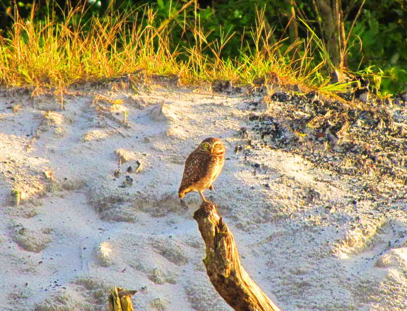 Sand quarries - Iquitos Peru