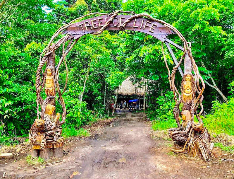 Ayahuasca Tours and Retreats